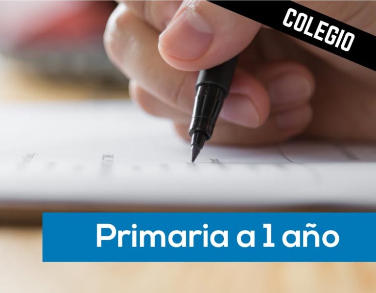 Primaria en 1 año