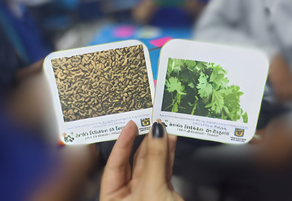 agricultura