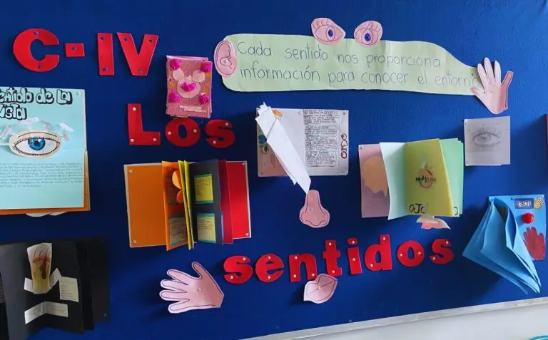 Neurociencia Creativa: Ecoarte y el Sistema Nervioso en Acción
